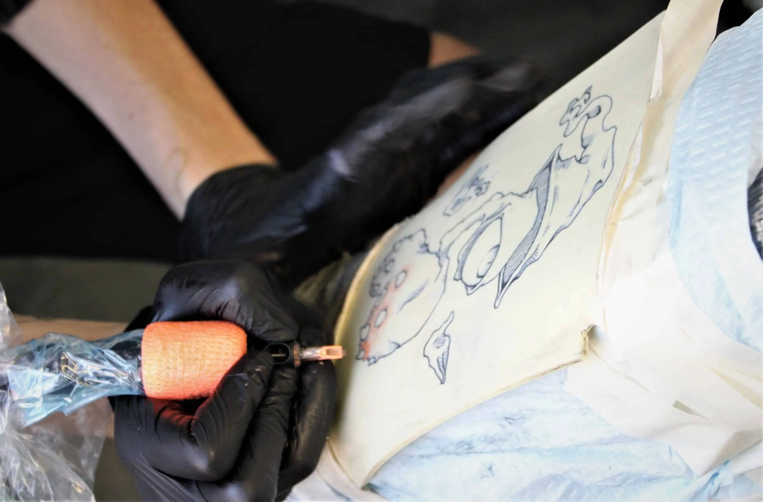 tattoo practice on pig skin